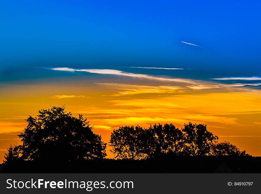 A sunset over a small forest. A sunset over a small forest.