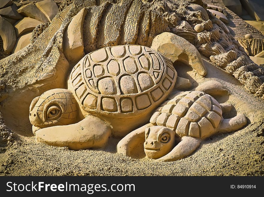 A pair of turtles carved of sand on beach. A pair of turtles carved of sand on beach.