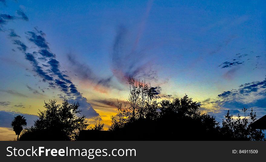 Sunset in blue skies over treetops. Sunset in blue skies over treetops.