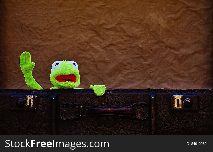 A plush frog in an old suitcase. A plush frog in an old suitcase.