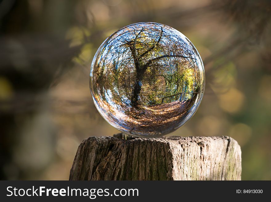 Glass ball on wooden post reflecting forest trees. Glass ball on wooden post reflecting forest trees.