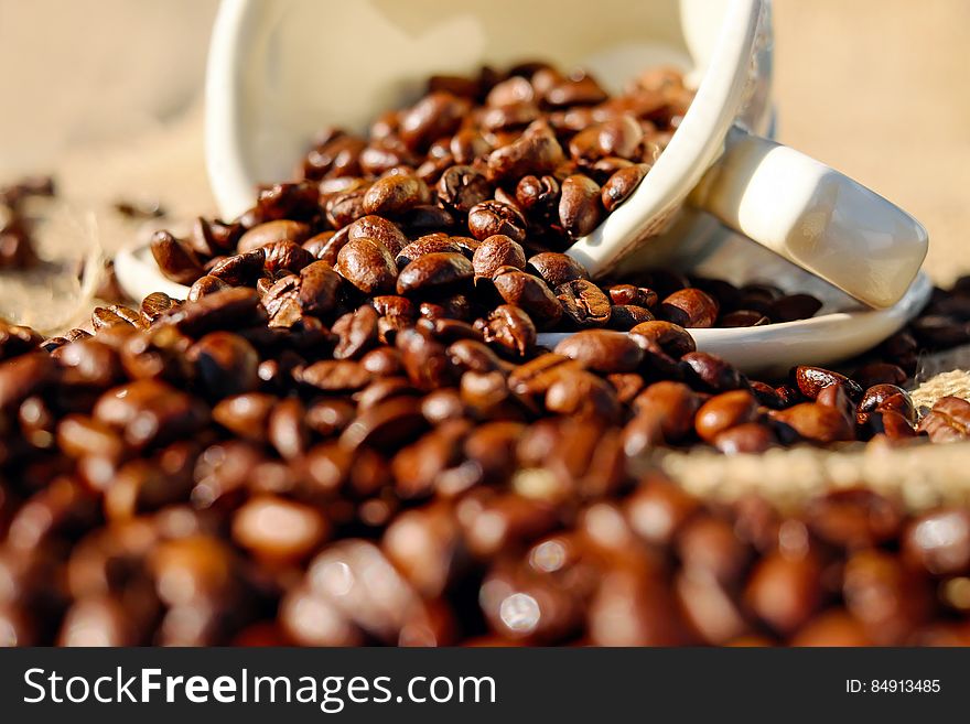 Shallow Focus of Coffee Beans on White Ceramic Cup