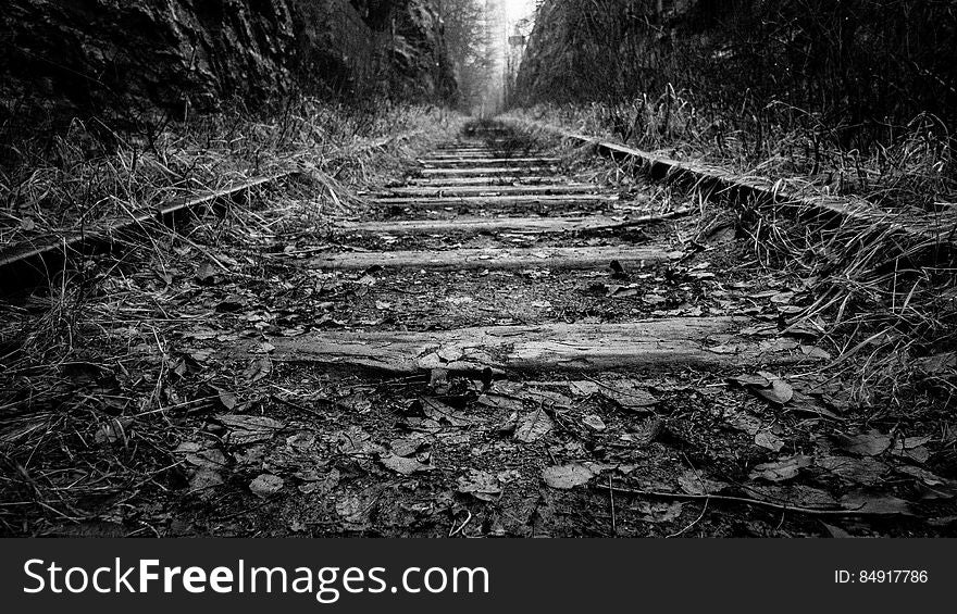 Disused Railway Tracks In Countryside