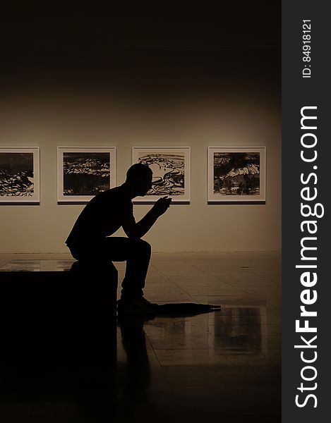 Silhouetted man in art museum