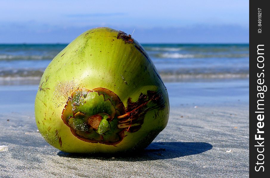 The coconut comes from the coconut palm tree which grows throughout the tropics and subtropics. The name coconut is derived from 16th century Portuguese sailors who thought the 3 small holes on the coconut shell resembled the human face so dubbed the fruit &#x22;coco&#x22; meaning &#x22;grinning face, grin, or grimace&#x22; The word nut was added in English later on. The coconut comes from the coconut palm tree which grows throughout the tropics and subtropics. The name coconut is derived from 16th century Portuguese sailors who thought the 3 small holes on the coconut shell resembled the human face so dubbed the fruit &#x22;coco&#x22; meaning &#x22;grinning face, grin, or grimace&#x22; The word nut was added in English later on.