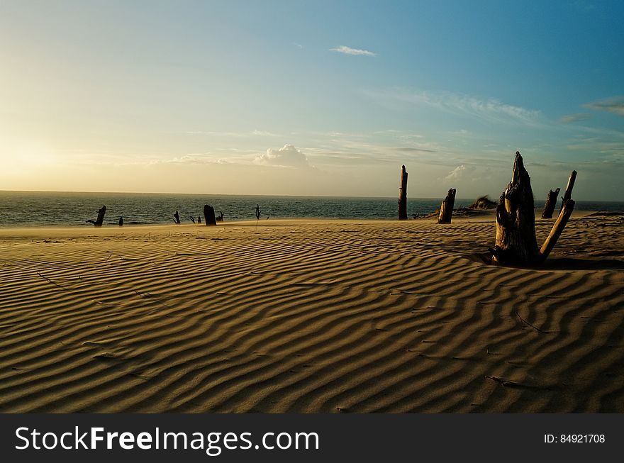 Desert de dunes