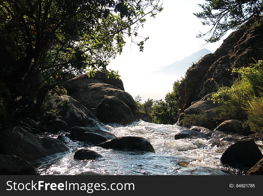 Nature Stream