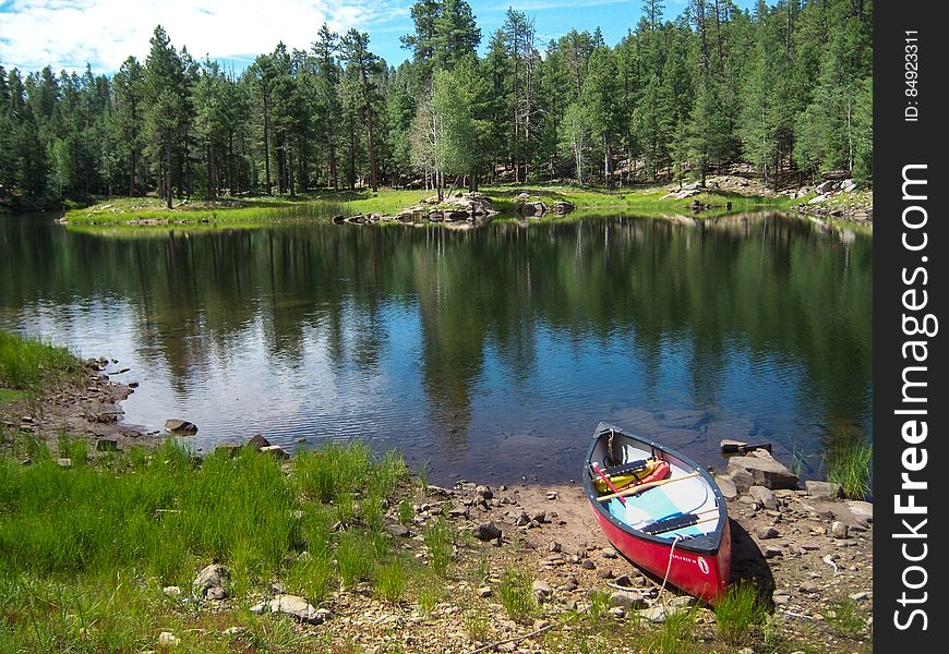 This secluded forest lake is surrounded by ponderosa pines, with a picturesque island in the center. Knoll Lake provides a scenic setting for picnicking, fishing, canoeing, and other activities. The nearby campground, trails, and Mogollon Rim make Knoll Lake a peaceful getaway with plenty to see and do. Photo by Deborah Lee Soltesz, August 2010. Credit: U.S. Forest Service, Coconino National Forest. For more information, visit Knoll Lake on the Coconino National Forest website.