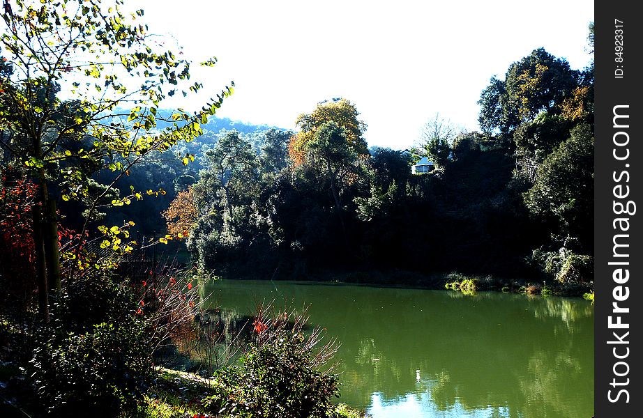 Went to Vallvidrera village this morning. Just outside of Barcelona, about 10 minutes by cable car. I am currently looking for a place to live there as it is one of my favorite place and has easy access to the city.