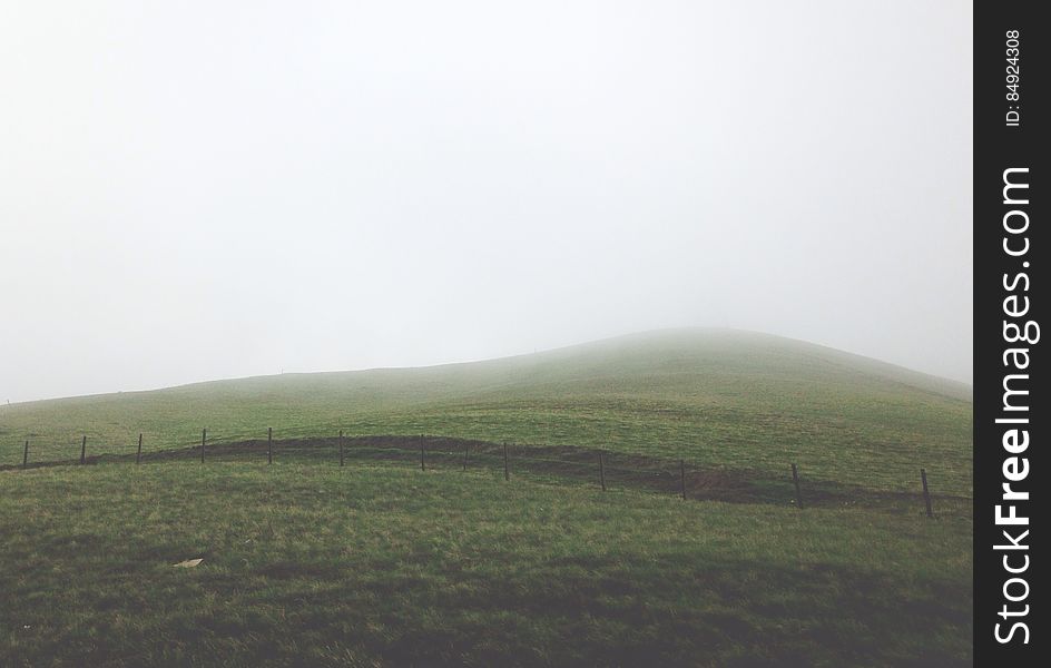 Green Field Background Texture