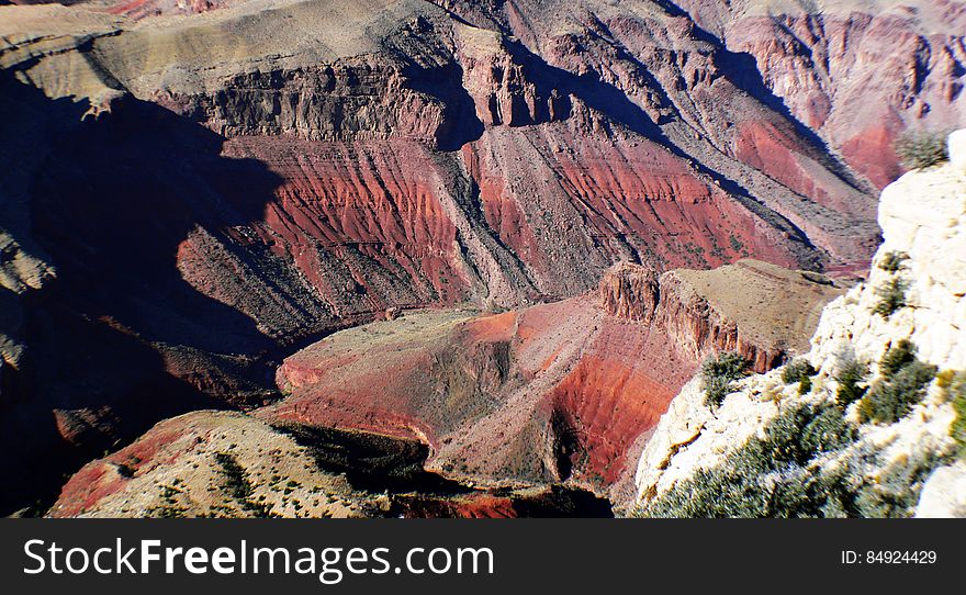 1.The Grand Canyon ranges from 4 to 18 miles wide &#x28;6 - 28km&#x29; and is 277 miles long &#x28;445km&#x29; &#x28;that&#x27;s river miles&#x29;. 2.On average, it is 5000 feet deep &#x28;1,524m or over half a kilometre deep&#x29; 3.The entire Grand Canyon is essentially tilted: the northern rim is 1200 ft higher than the southern rim. 4.The climate within the canyon is semi-arid, and the floor in Summer can heat up to 106 degrees Fahrenheit &#x28;40 degrees Celsius&#x29;. 5.It is the third largest canyon in the world &#x28;exceeded by Barranca de Cabre in Northern Mexico and Hell&#x27;s Canyon in Idaho&#x29;. 6.Around 88 species of mammals, 250 - 300 species of birds, 25 types of reptiles and five species of amphibians all live in the Grand Canyon. 7.The first white man to discover the Grand Canyon was GarcÃ­a LÃ³pez de CÃ¡rdenas in 1540. 8.Scientists suggest it took 3-6 million years to form. 9.It was carved with a single river, the Colorado, by the process of erosion. 10.800 million gallons of water flow through it per hour &#x28;that&#x27;s 3028 million litres&#x29;. 11.It is a &#x22;Natural Wonder of the World&#x22;. 12.Its base is about 1/3 of the earth&#x27;s age. 13.The floor of the Grand Canyon contains fossil footprints of over 20 species of reptiles and amphibians, yet no fossilised reptile bones or teeth have ever been uncovered. 14.Due to the absence of actual soil in the Canyon, very little plant life can grow on the floor, except for desert plants. 15.It is the site of the rare Brady Pin-cushion cactus, discovered in 1958. 16.The oldest human artifacts in the Grand Canyon are estimated to be 3000-4000 years old.