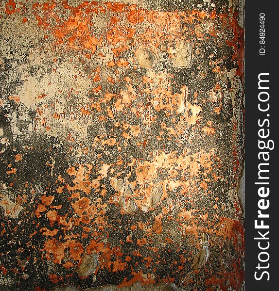 Rusty Distressed Wall &x28;Angel Island&x29;