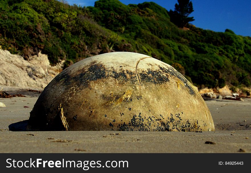 The Moeraki Boulders are unusually large and spherical boulders lying along a stretch of Koekohe Beach on the wave-cut Otago coast of New Zealand between Moeraki and Hampden. They occur scattered either as isolated or clusters of boulders within a stretch of beach where they have been protected in a scientific reserve. The erosion by wave action of mudstone, comprising local bedrock and landslides, frequently exposes embedded isolated boulders. These boulders are grey-colored septarian concretions, which have been exhumed from the mudstone enclosing them and concentrated on the beach by coastal erosion. The Moeraki Boulders are unusually large and spherical boulders lying along a stretch of Koekohe Beach on the wave-cut Otago coast of New Zealand between Moeraki and Hampden. They occur scattered either as isolated or clusters of boulders within a stretch of beach where they have been protected in a scientific reserve. The erosion by wave action of mudstone, comprising local bedrock and landslides, frequently exposes embedded isolated boulders. These boulders are grey-colored septarian concretions, which have been exhumed from the mudstone enclosing them and concentrated on the beach by coastal erosion