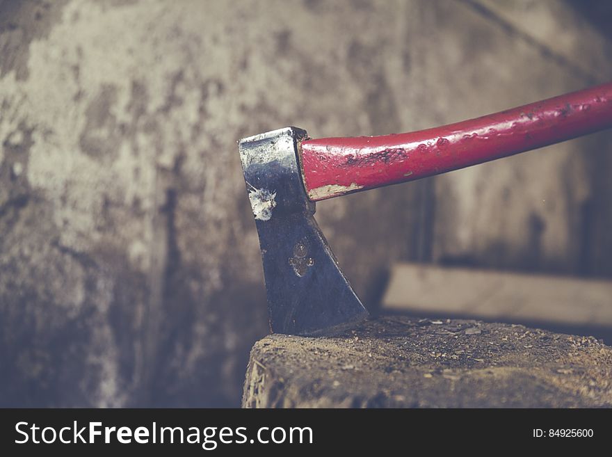 Lumberjack Curing Firewood