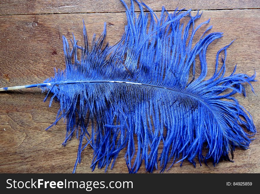 big blue feather