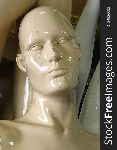 Noble Mannequin Face