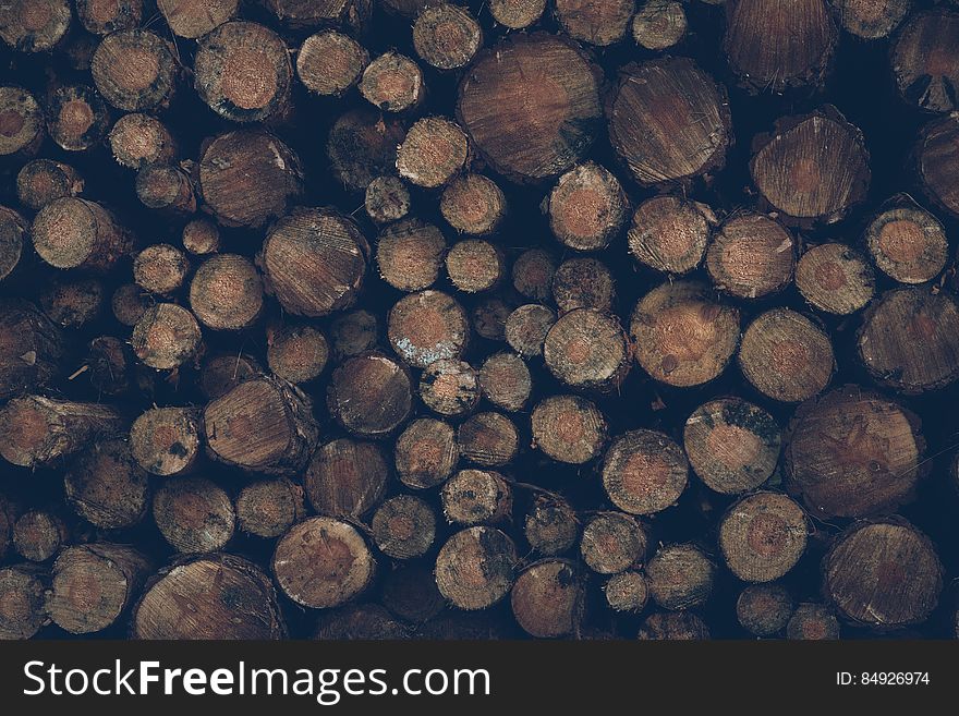 Wood Logs Background