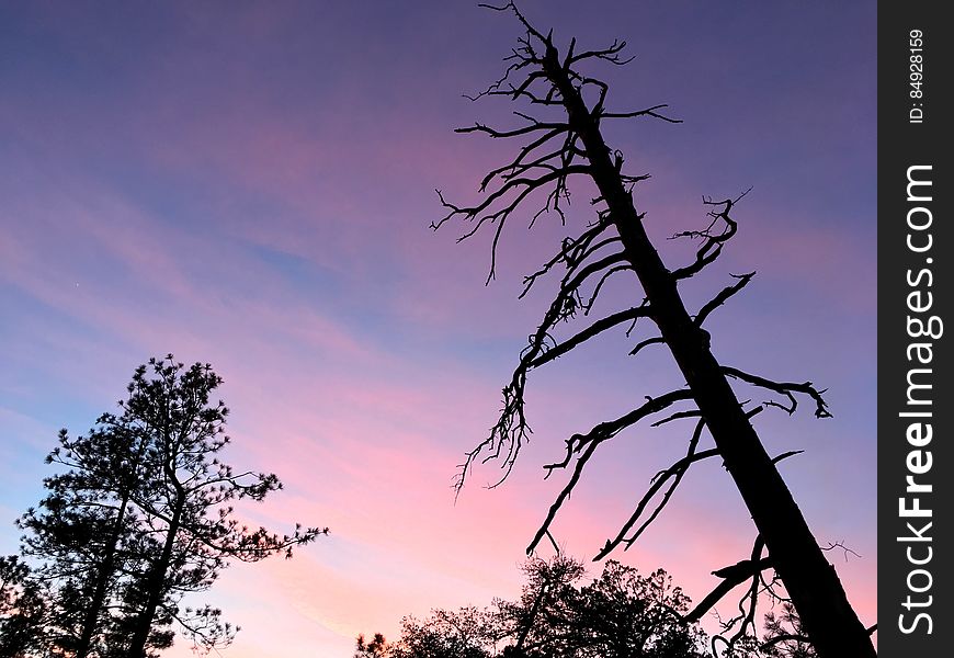 Leaning In On Sunset