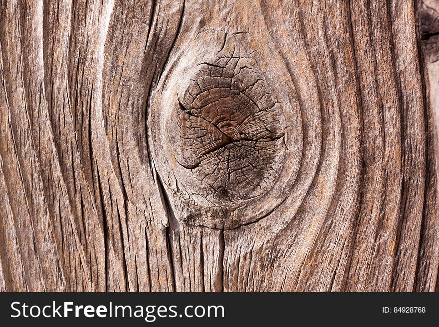 Closeup of a knot in an old tree trunk. Closeup of a knot in an old tree trunk.