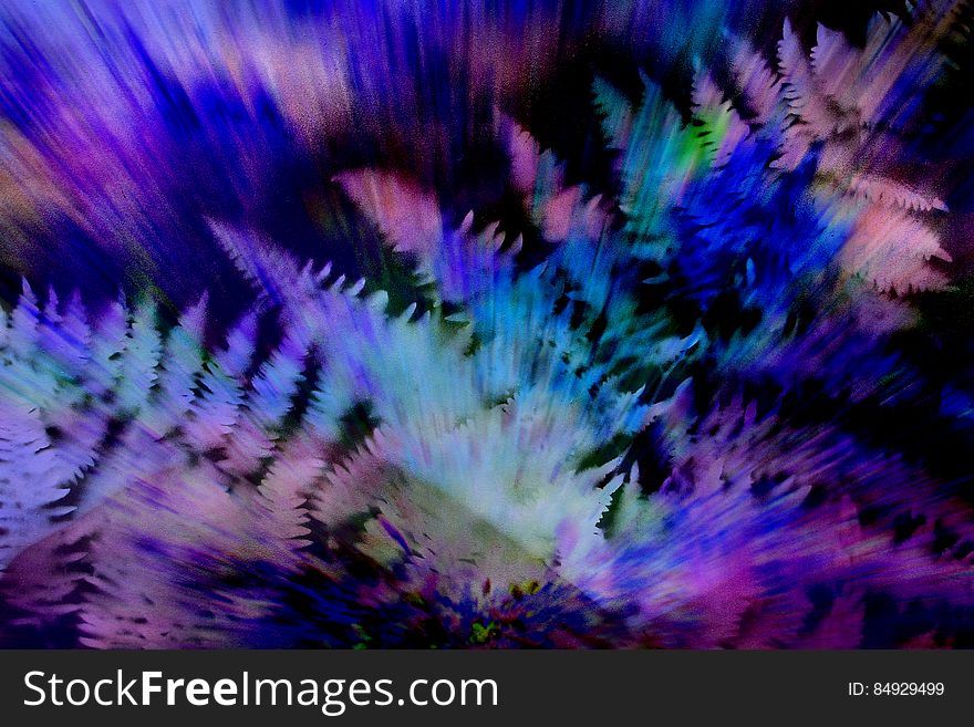 exploding ferns with purple