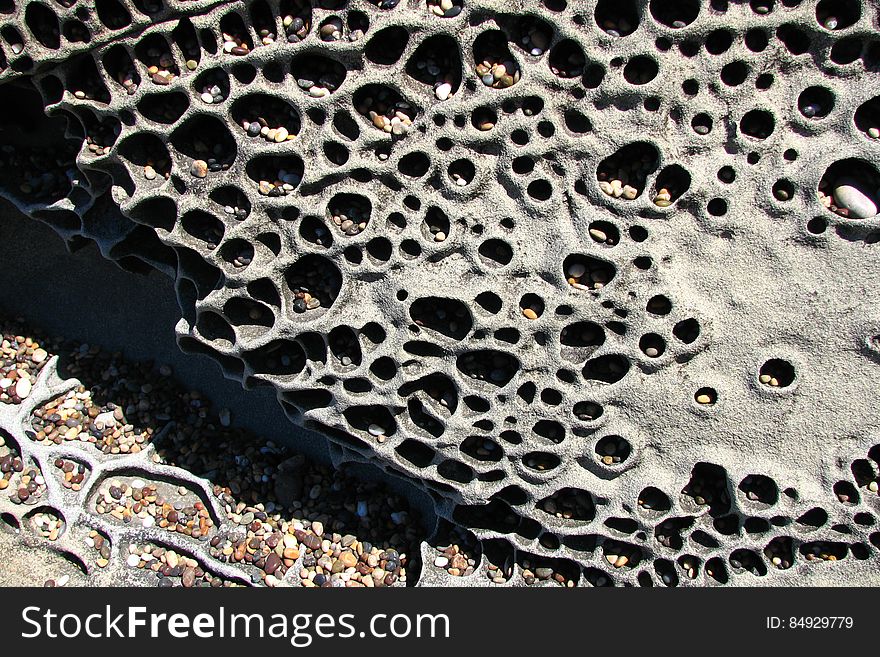 beach rock with holes