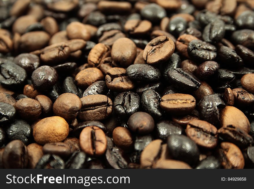 Brown and Black Coffee Beans