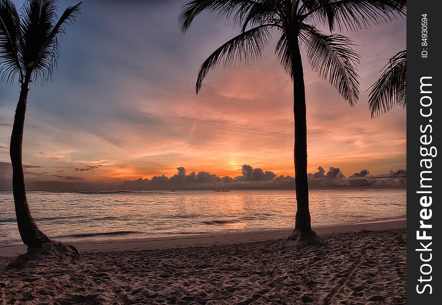 Sunset on Sea Shore