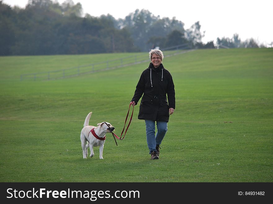 Woman walking her dog in the park with the animal on its lead carrying a stick in its mouth.