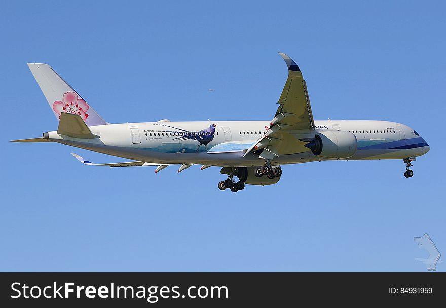 Airplane Flying On A Cloudless Day