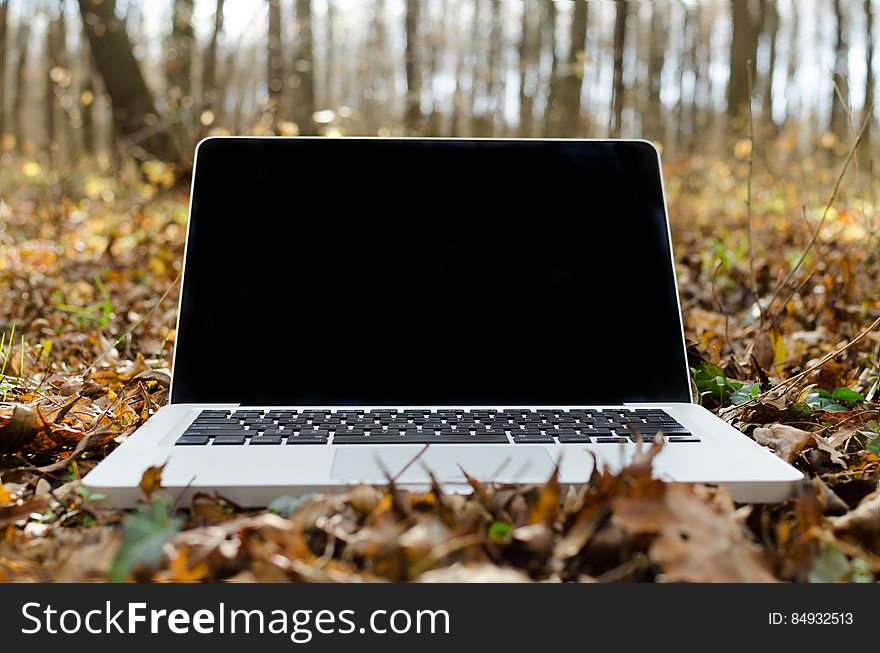 An open laptop lying in forest foliage in autumn. An open laptop lying in forest foliage in autumn.