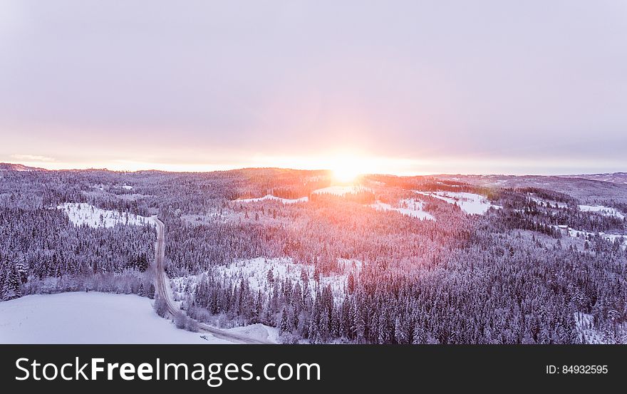 A view of forests in the hillside covered in snow at sunset. A view of forests in the hillside covered in snow at sunset.