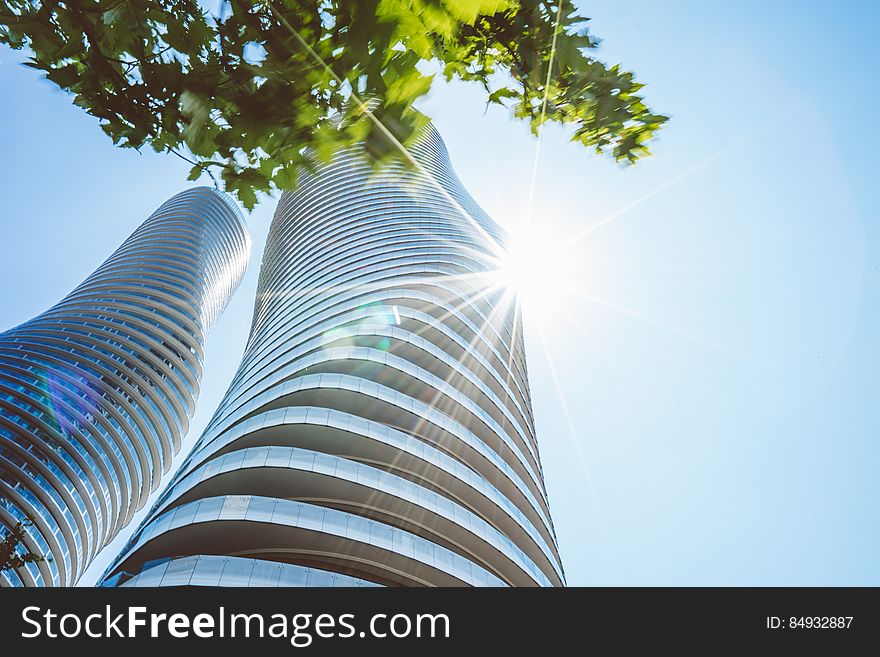 Two curved skyscrapers reaching to the sky with a tree blowing in the wind and sun rays from behind.