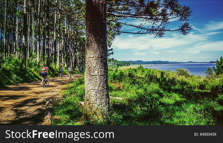 Man Riding Bike on Dirt Road Near Green Grass and Tree Under Cloudy Sky during Daytime