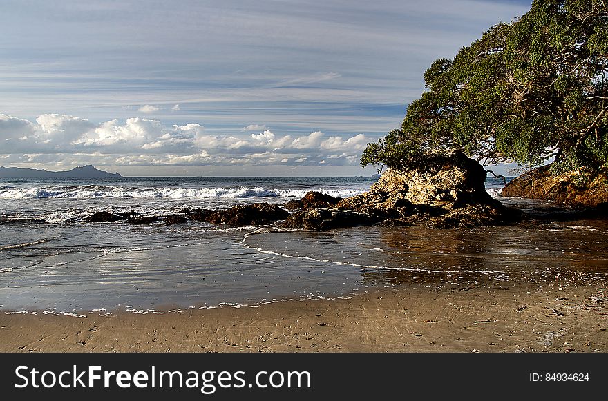 Waipu Beach.Northland. NZ