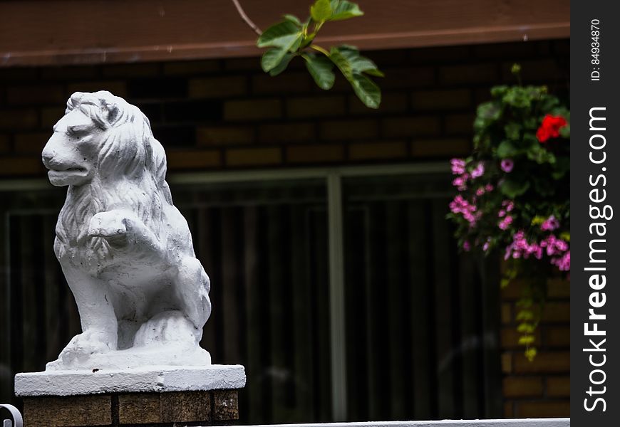 Lions Of Vancouver --eastvan-photowalk-vancouver-em10-75-300mm-20150517-P5170049