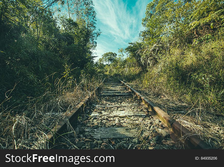 A single railway track in a forest. A single railway track in a forest.