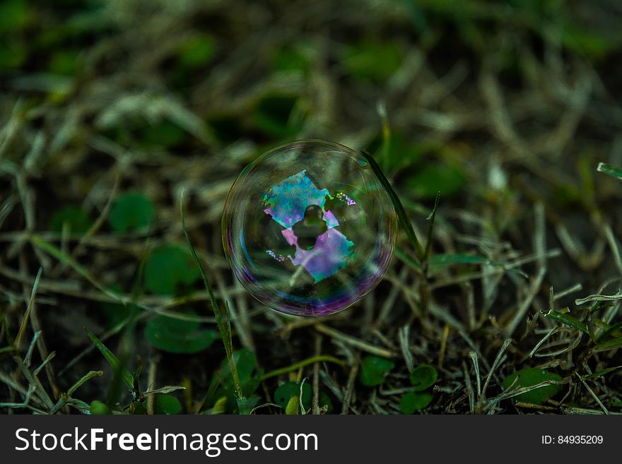 Bubble In Grass