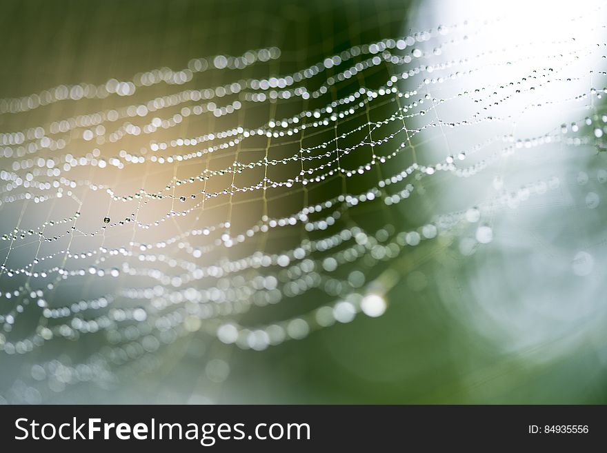 Closeup of dew drops of a spiderweb. Closeup of dew drops of a spiderweb.