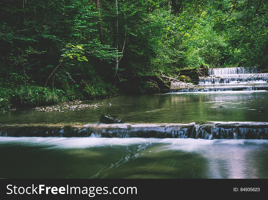 Picturesque River In Forest