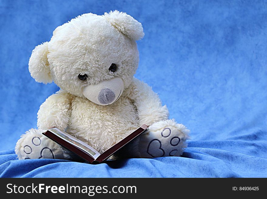 White Teddy Bear Reading Book