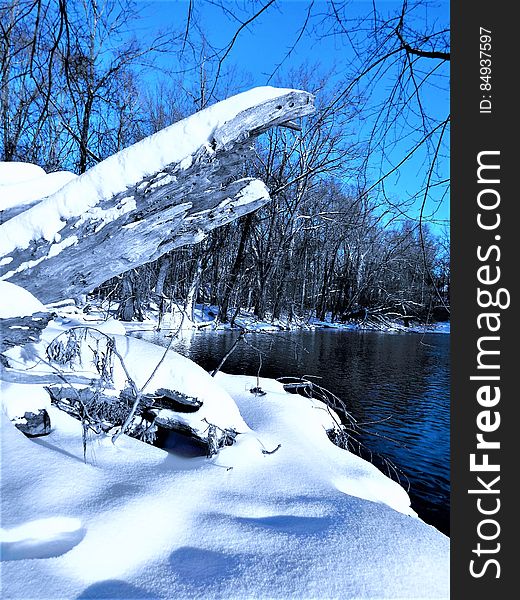 Scenic view of countryside lake in winter with snow covered branches in foreground.