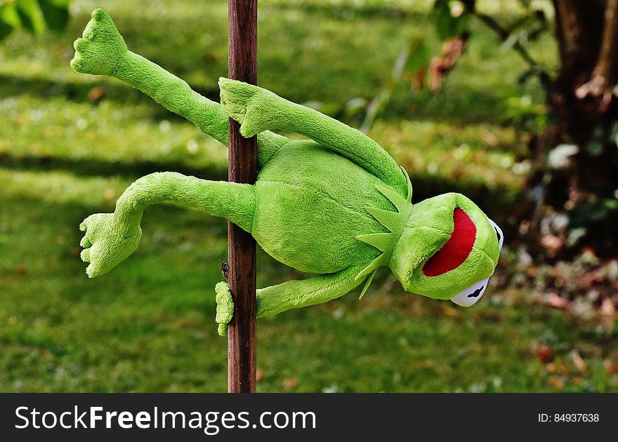Kermit the Frog toy hanging from a pole in a garden.