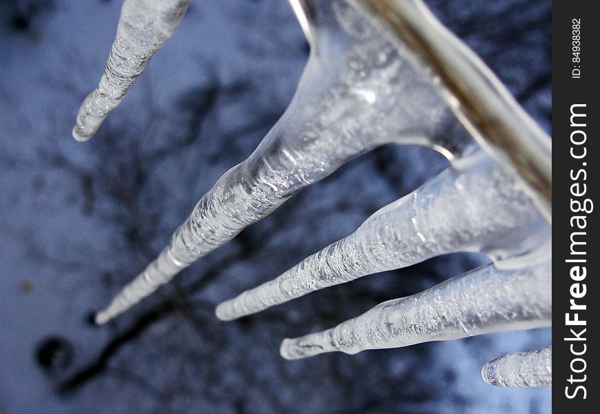 A close up of icicles hanging from a branch. A close up of icicles hanging from a branch.