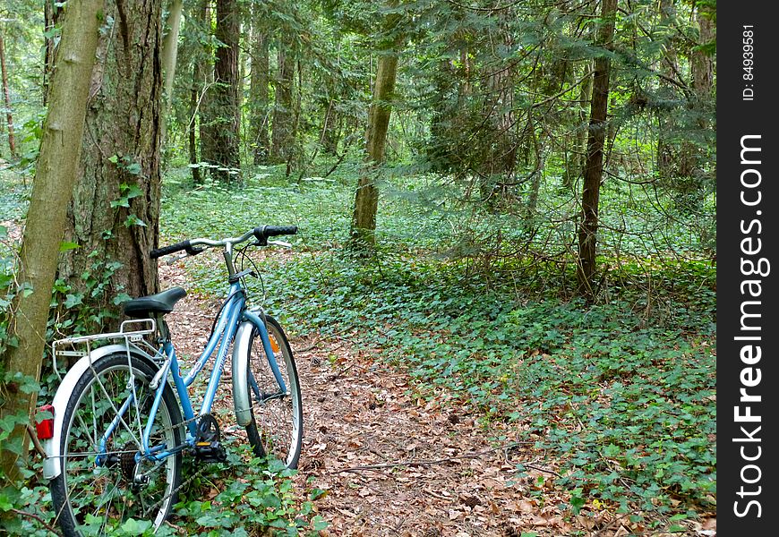 And my bike is my most trusty steed. And my bike is my most trusty steed.