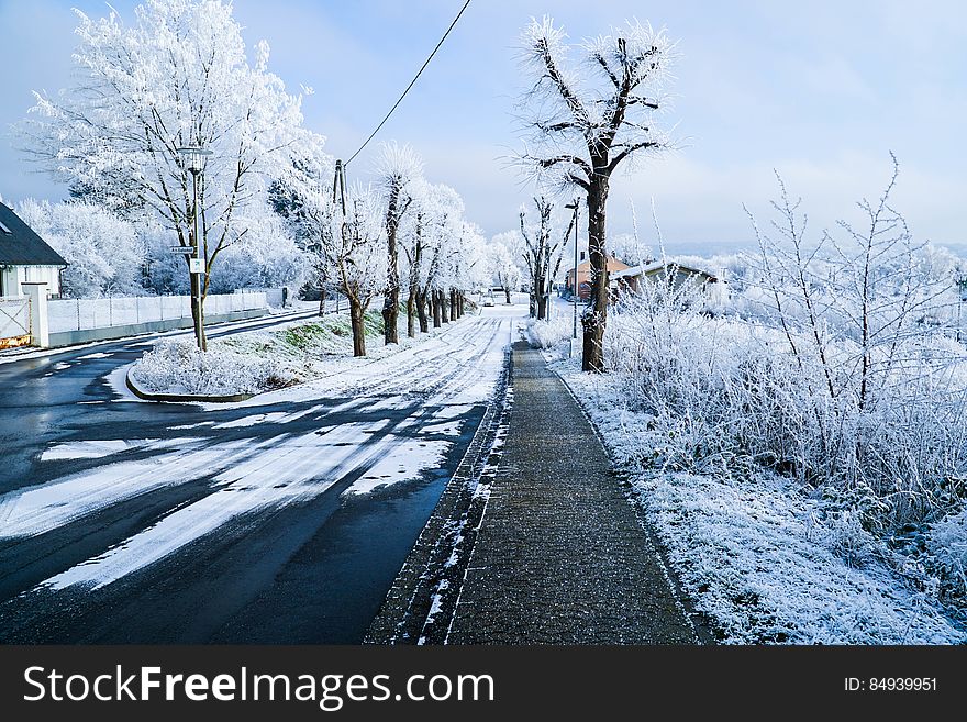 Road In Snowy Landscape