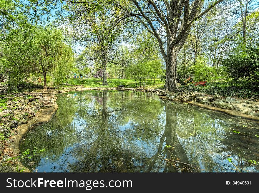 A small pond in a green park, trees reflecting on the water surface. A small pond in a green park, trees reflecting on the water surface.