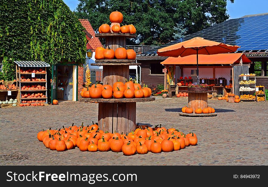 A harvest festival setting with pumpkin stand.
