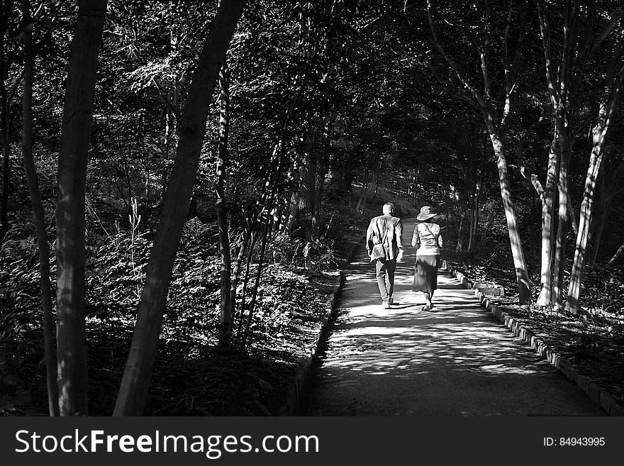 Two people walk along a wooded path. Two people walk along a wooded path.