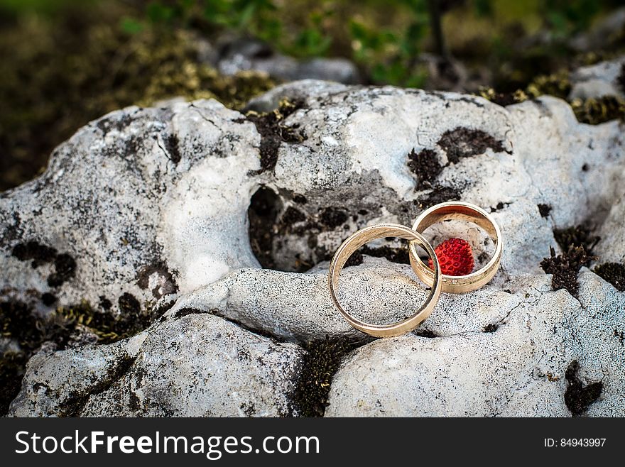 Wedding rings on a rock, one of them surrounding a strawberry. Wedding rings on a rock, one of them surrounding a strawberry.