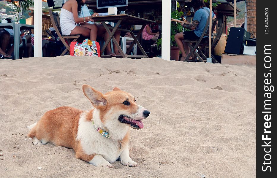 Day At The Beach